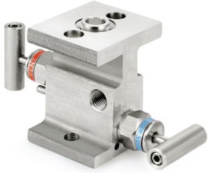 Ham-Let® Astava 2 way direct mount manifolds with Indanc