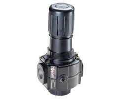 Excelon® Series 74 Relieving Regulator 3/8BSPP