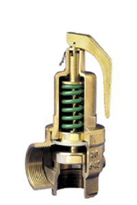 Figure 542 Safety Relief Valve 2 1/2BSPP